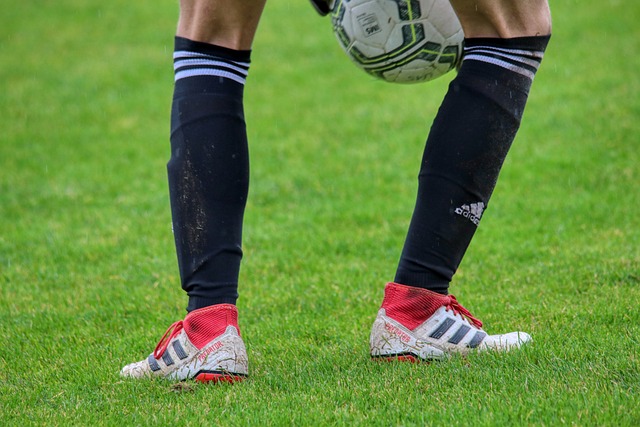 这些领域显 这些领域显