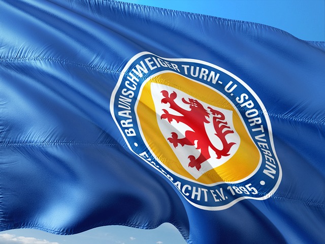 整体防线的 整体防线的