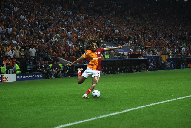 势的生动体 势的生动体