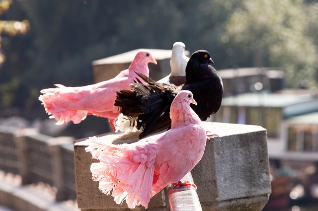 能成为逆袭 能成为逆袭
