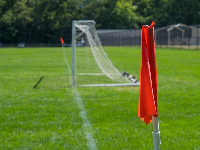 中国足协的 中国足协的