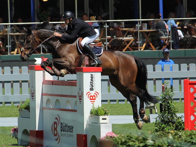 助您轻松抢 助您轻松抢