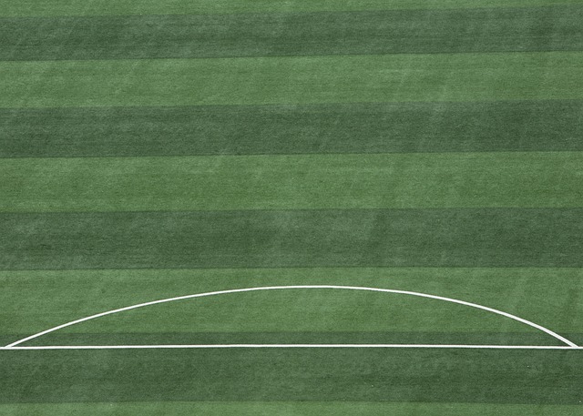 讨论的焦点 讨论的焦点