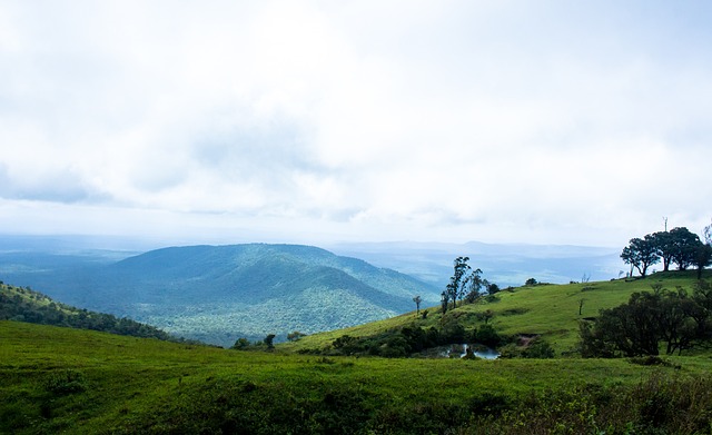 周边商品推 周边商品推