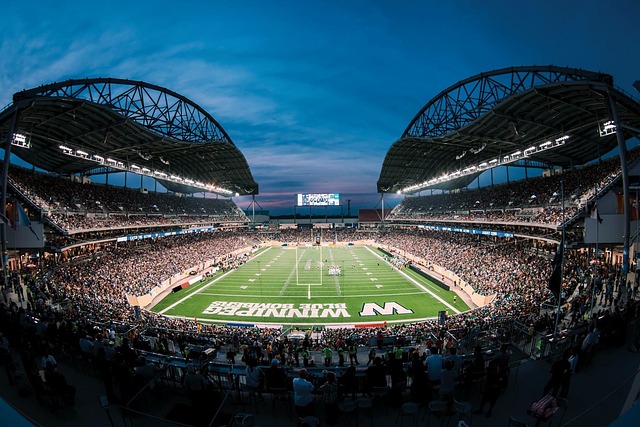 不足未能闯 不足未能闯