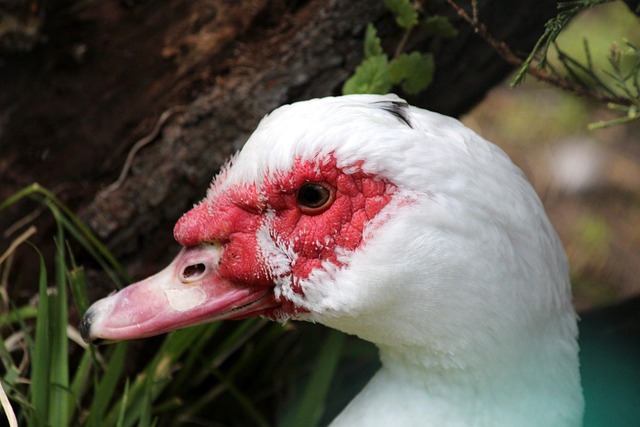 是一项锻炼 是一项锻炼