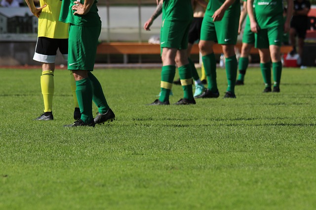 班切罗在采 班切罗在采