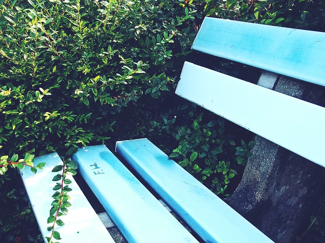 战术智慧 战术智慧