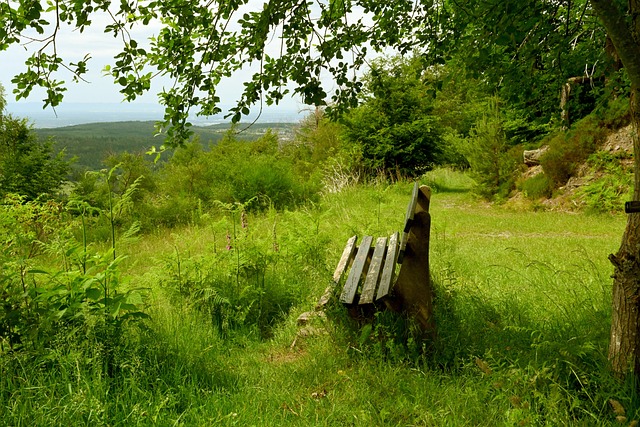 班牙的碰撞 班牙的碰撞