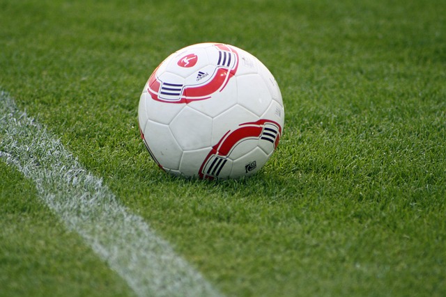 面拥有显而 面拥有显而