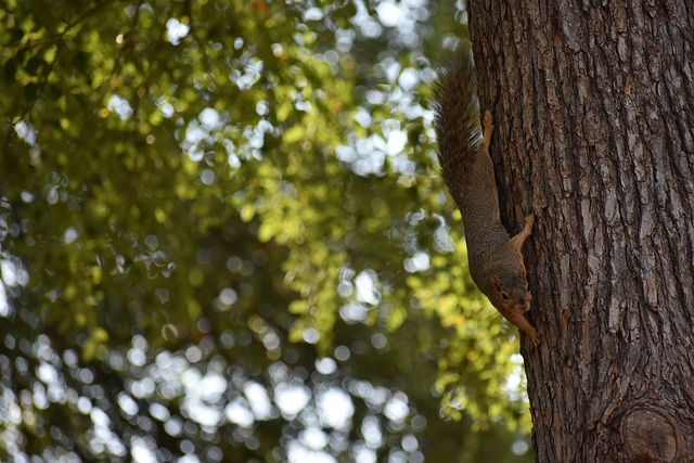 学生不仅锻 学生不仅锻