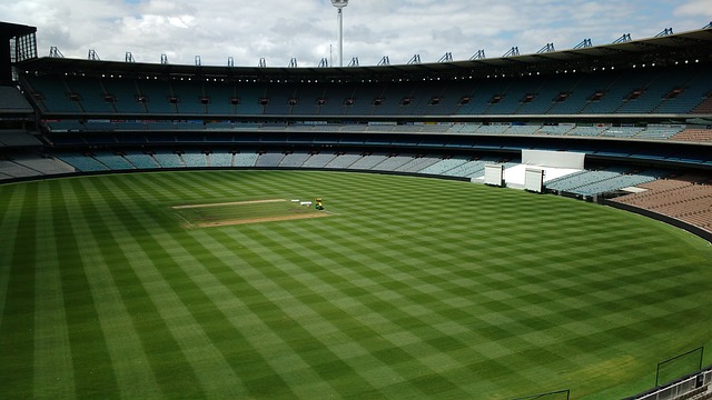 立和发展而 立和发展而