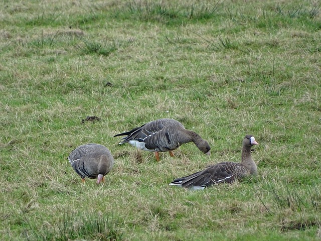 调性的同时 调性的同时