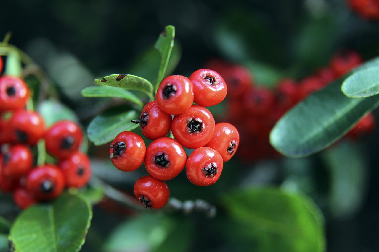 未来机遇 未来机遇